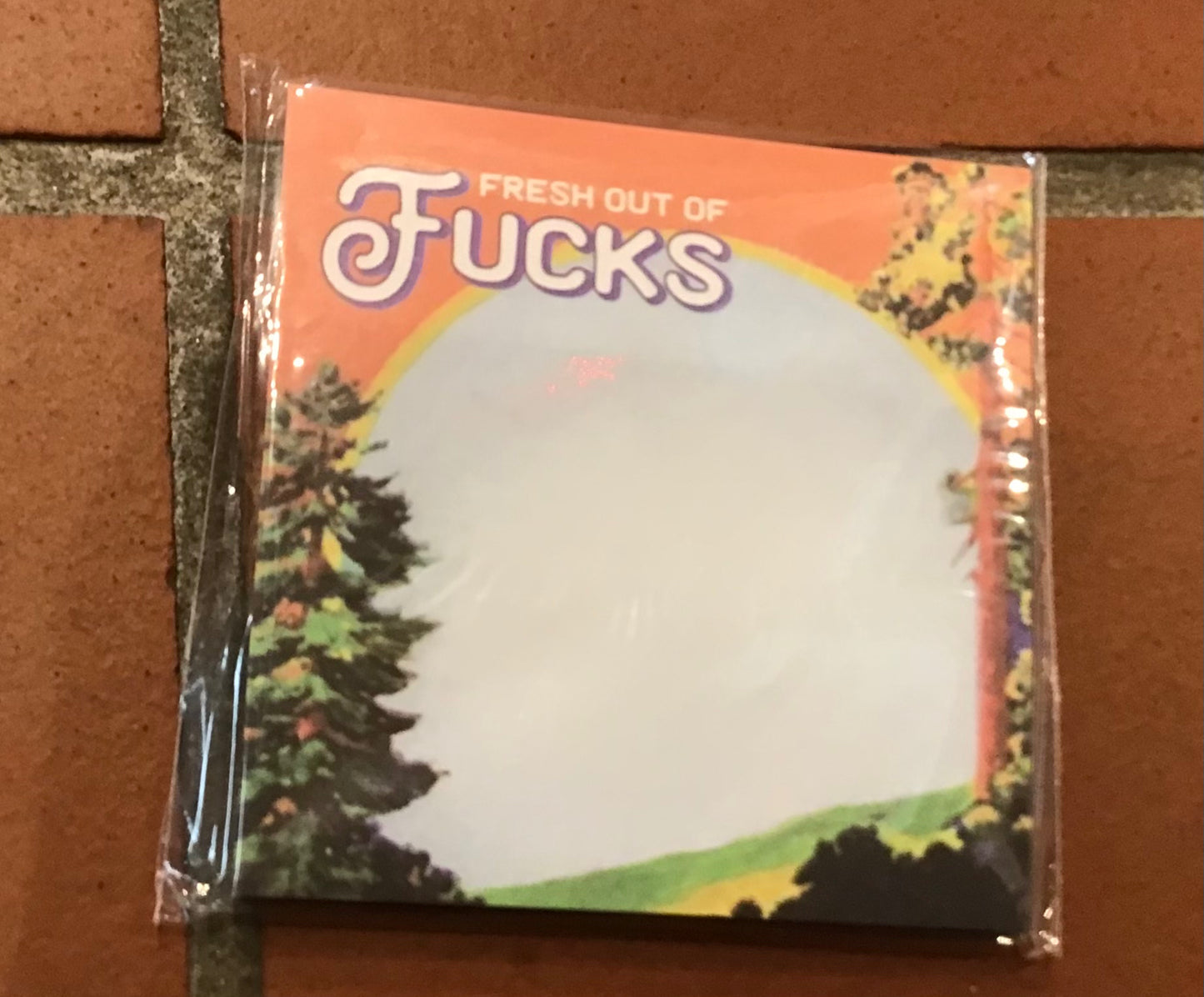 “Fresh out of Fucks” Sticky Note pad