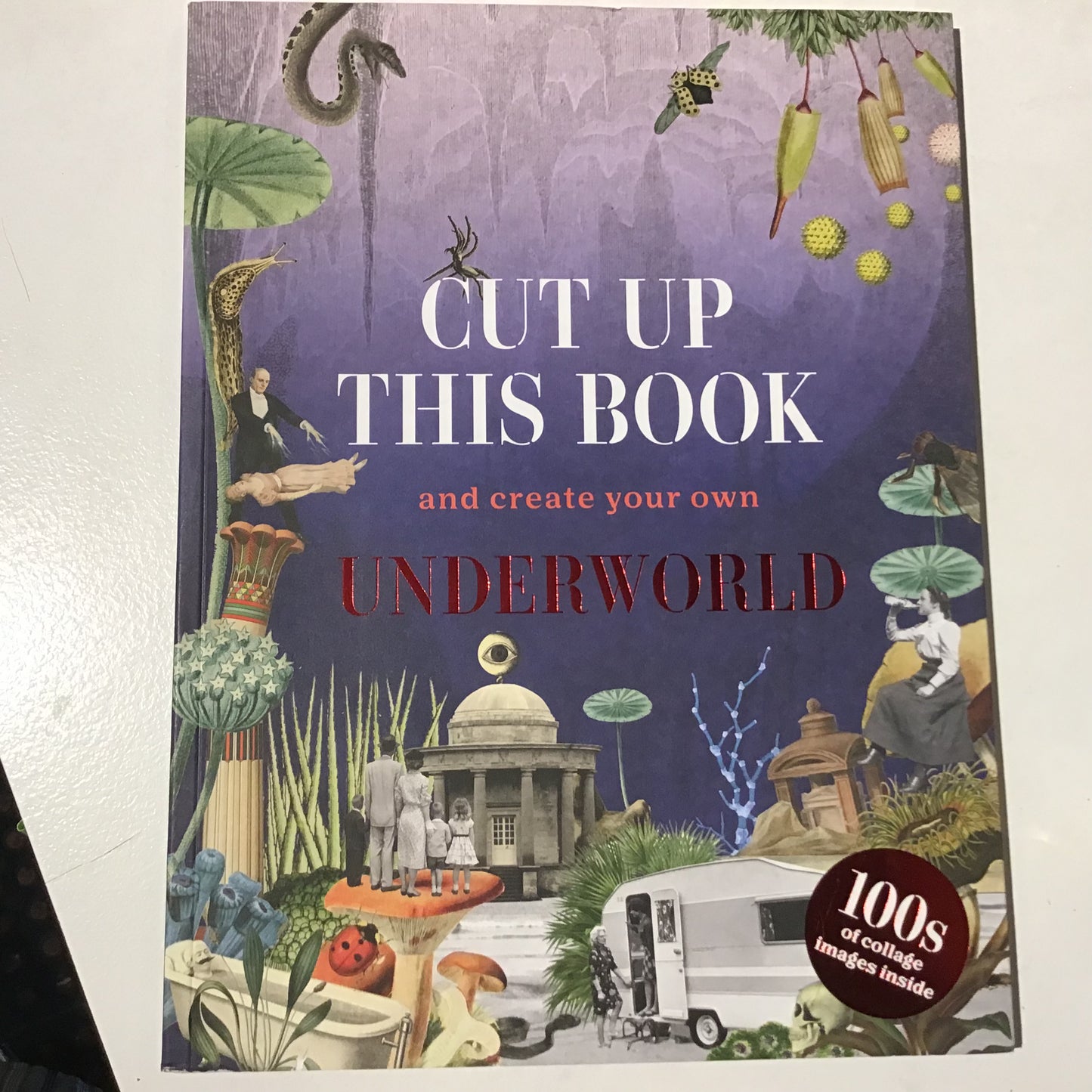 Cut Up This Book