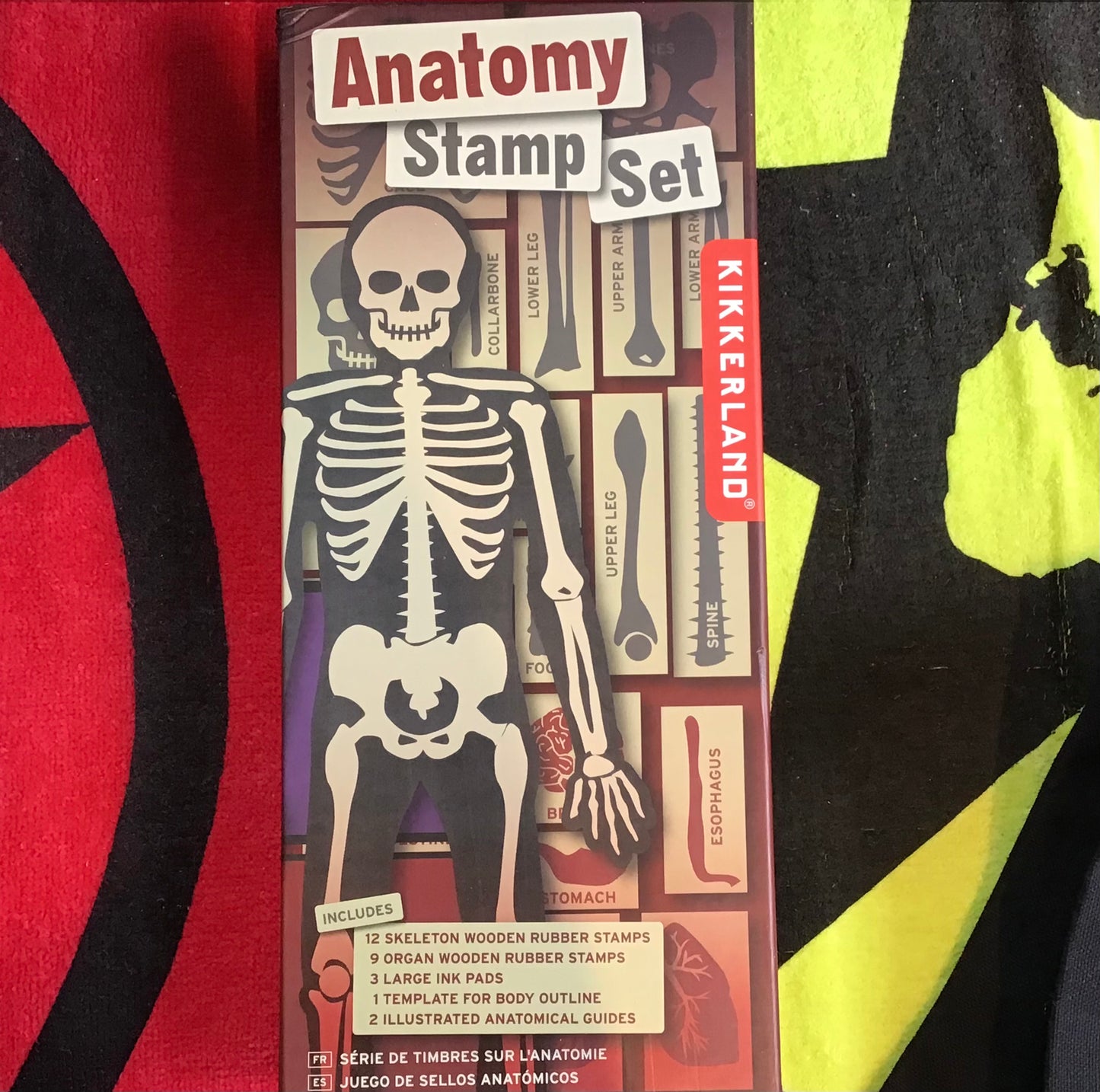 Anatomy Stamp Set